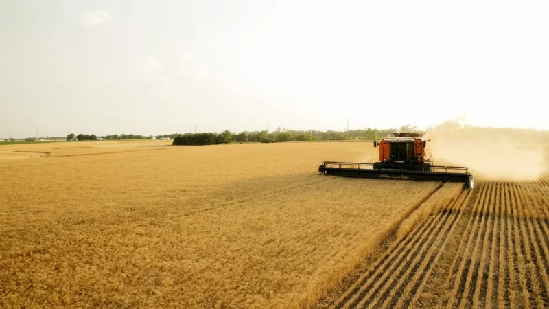 Governo do Canadá toma ações para combater as mudanças climáticas no setor de agricultura